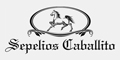 Sepelios Caballito