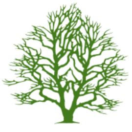 Vallejo & Asociados S.A.S