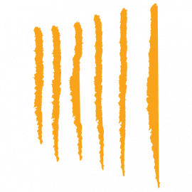 Plaza Mayor Medellín Convenciones Y Exposiciones S.A.