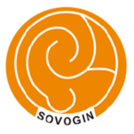 Sovogín