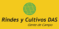 Rindes y Cultivos das