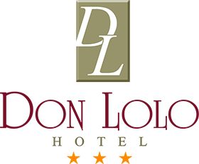 Hotel Don Lolo Ltda