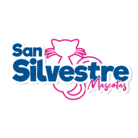 Inmobiliaria San Silvestre