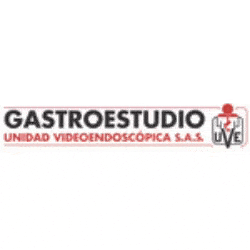 Gastroestudio Unidad Videoendoscópica S.A.S.