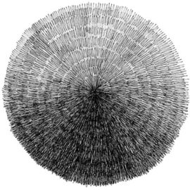 Anzellini García Reyes S.A.S.