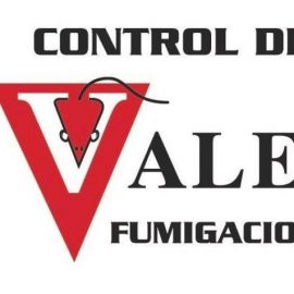Control De Plagas Valencia
