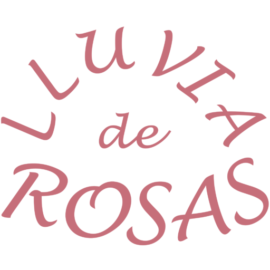 Floristería En Medellín Lluvia De Rosas