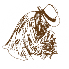 El Viejo Rancho Tolimense