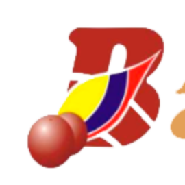 Comercializadora Internacional Borojó De Colombia S.A.