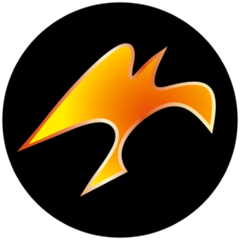 Fénix Construcciones S.A.
