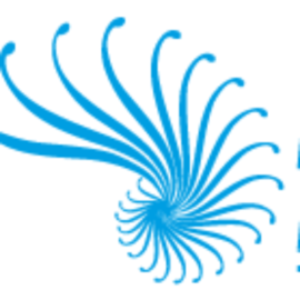 Camacho Cajiao Diana Paola