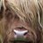 Dennis Hotson