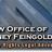 Lainey Feingold