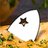 Jeff Stargazy Sheen