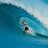 Steve Watt