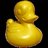 Mr Duck