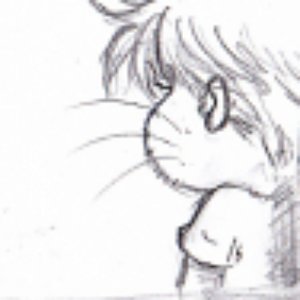 A photo of chatgris