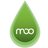 Development @ MOO