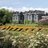 Gregynog Colloquium