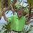 Ric Wiltse