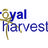 Royal Harvest