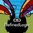 DefinedLogicLLC