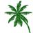 Margriet Palm