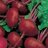 Mr Beetroot