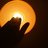 Fredrik Sandberg