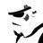 Roop