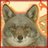 Coyote Holmberg