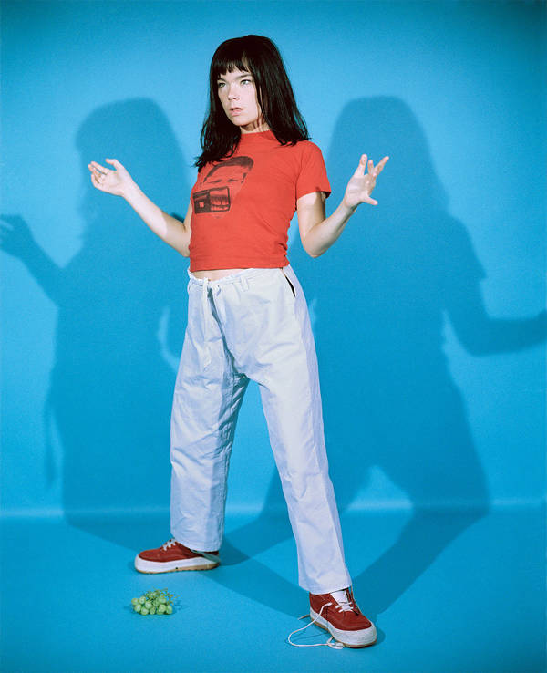 Bjork