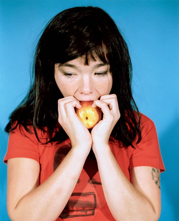 Bjork