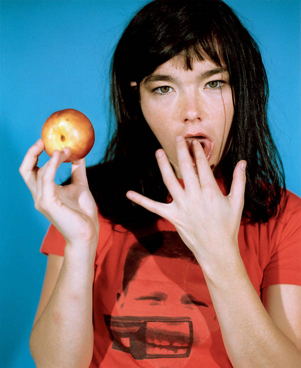 Bjork