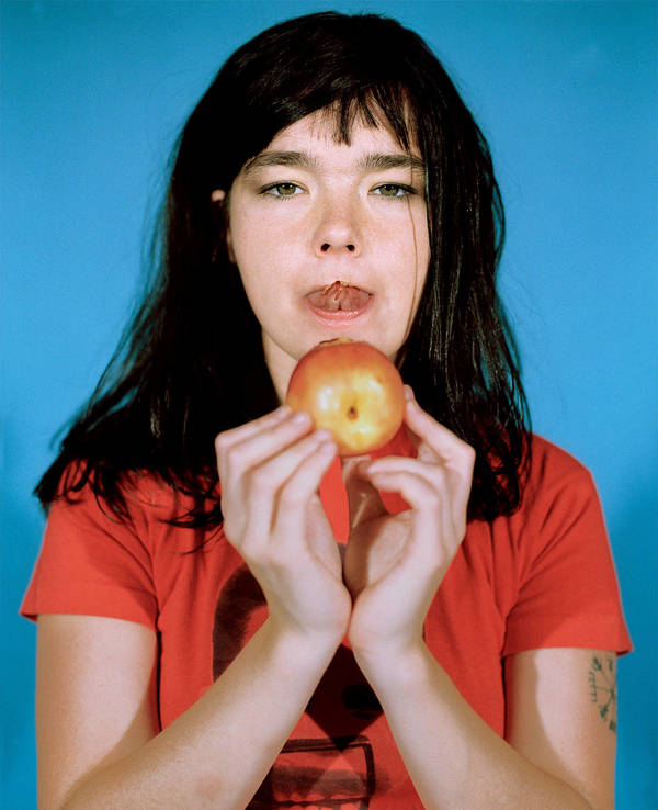 Bjork