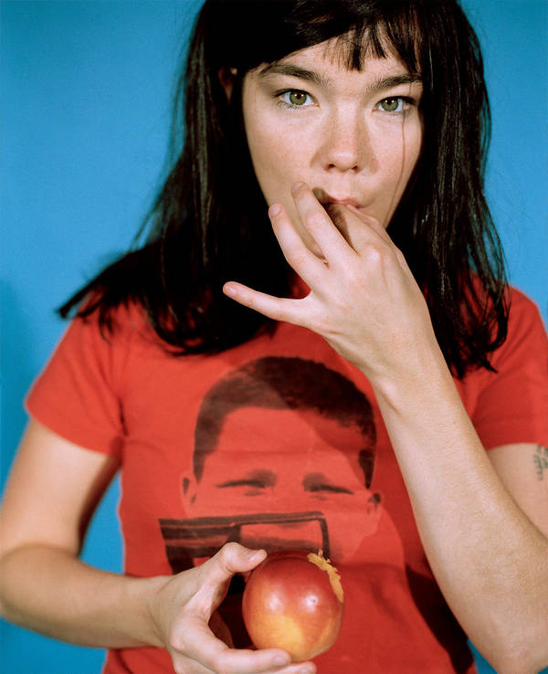 Bjork