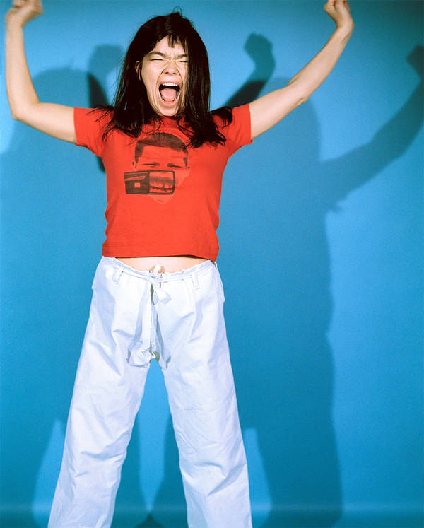 Bjork