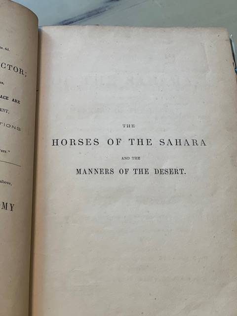 Classics from the Byatt Living Equine Library