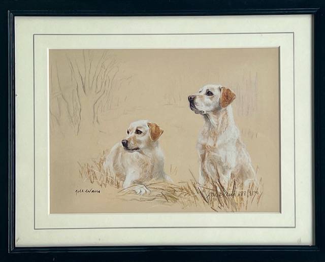 Dog Artworks (Various Breeds)