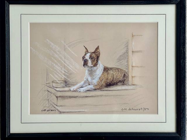 Dog Artworks (Various Breeds)