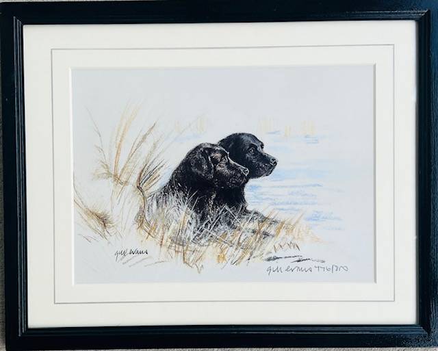 Dog Artworks (Various Breeds)