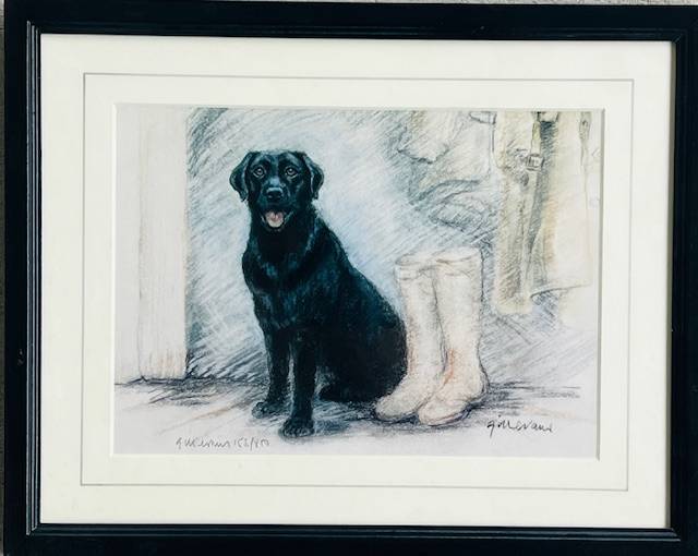 Dog Artworks (Various Breeds)