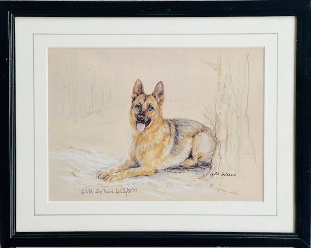 Dog Artworks (Various Breeds)