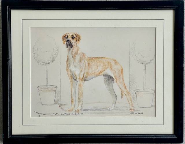 Dog Artworks (Various Breeds)