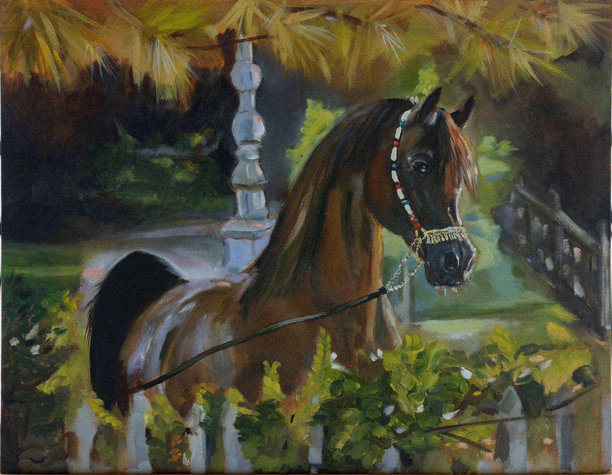 Oil on Canvas - 16 x 20