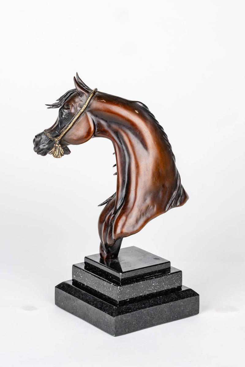 Arabian Horse Bronze Bust on Marble