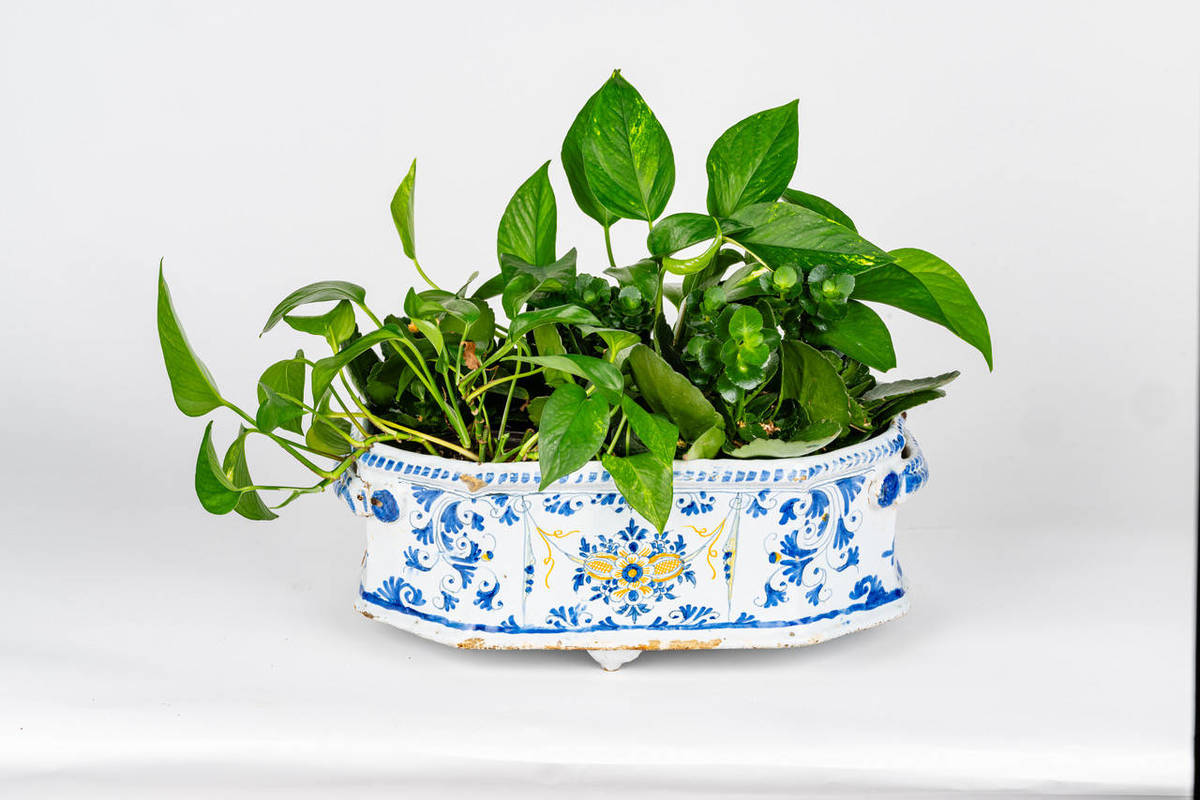 19th Century Small Spanish Jardinière