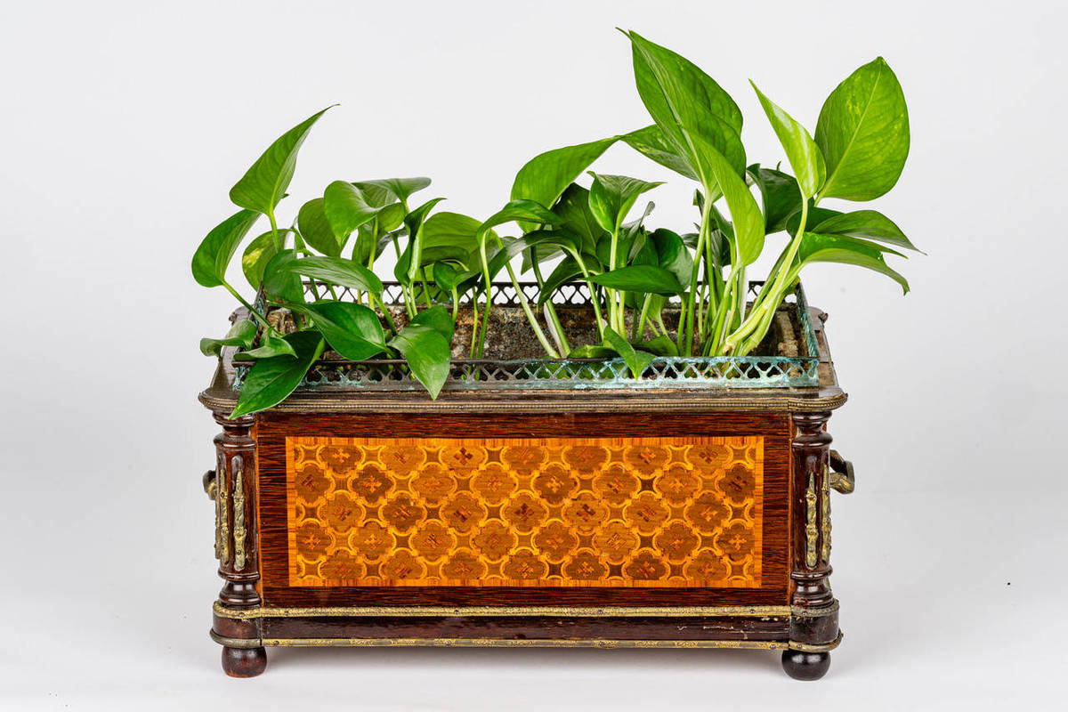 19th Century French Jardinière