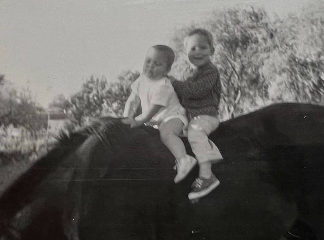 A life living with horses