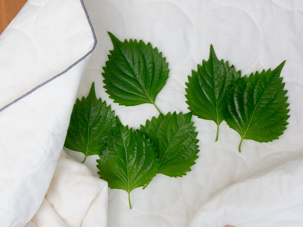 野菜の水切りに。吸水・速乾性に優れた、毛羽がつかない。ギフトにもおすすめな「キッチンふきん」｜YARN HOME（ヤーンホーム）